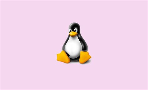 How to Open a Port in Linux