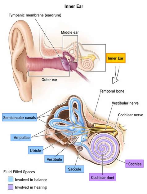 Oscillopsia, causes, symptoms, diagnosis, treatment & prognosis