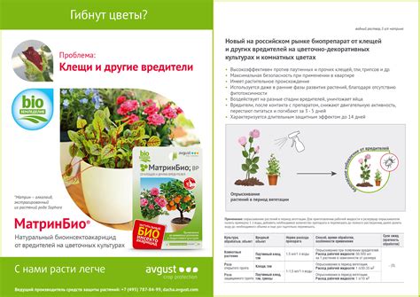 МатринБио® для цветов – купить препарат МатринБио® для цветов оптом по ...