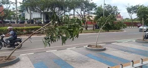 Tanaman Di Pedestrian Batam Center Rusak BP Batam Ajak Masyarakat