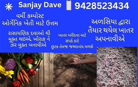 Vermicompost At Rs 20kg Vermicompost In Jasdan Id 2854217759288
