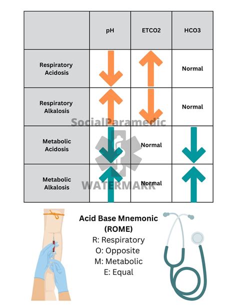 Acid Base Balance Study Guide Etsy