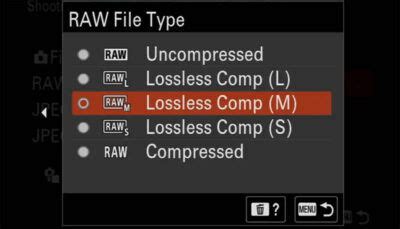 Sony A7R IV Vs A7R V Detailed Comparison Alpha Shooters