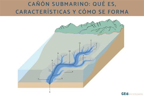 Cañón submarino qué es características y cómo se forma Belleza estética