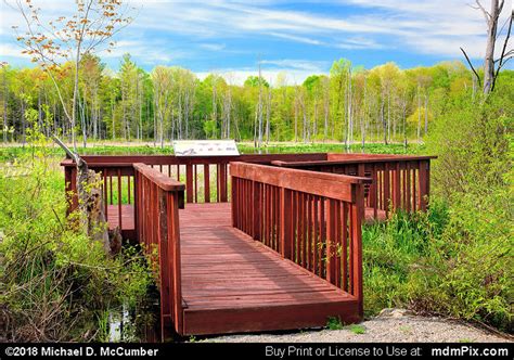 Observation Platform Picture 004 May 17 2018 From Maurice K Goddard