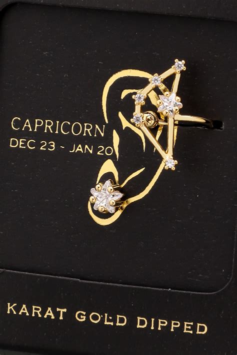 Secret Box Secret Box Capricorn Zodiac Stud Earrings Set