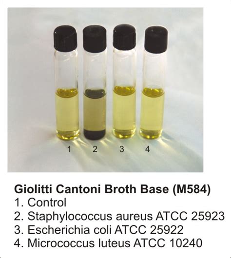 Ridacom Comprehensive Bioscience Supplier Giolitti Cantoni Broth