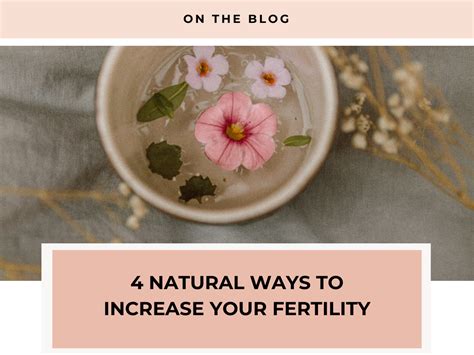 4 Natural Ways To Increase Your Fertility Lotus Womens Wellness