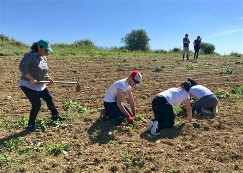 Agricoltura sociale un modello innovativo di sostenibilità