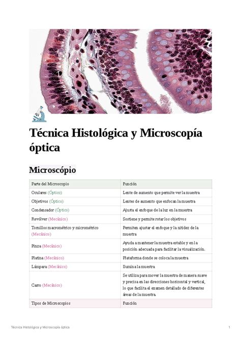 T Cnica Histol Gica Y Microscop A Ptica A Fe A C F