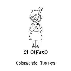 Dibujos Del Sentido Del Olfato Para Colorear Gratis Coloreando