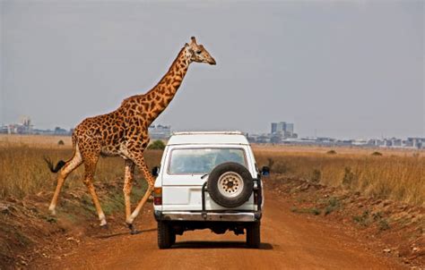 Discover the Best of Nairobi with These Top Attractions! - Incel Travel ...