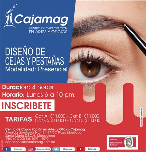 Centro De Capacitaci N Cajamag Curso Dise O De Cejas Y Pesta As Cajamag