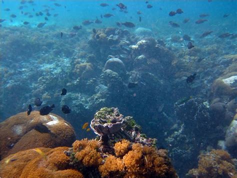 Sumur Ikan Balai Taman Nasional Taka Bonerate