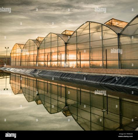 Greenhouse Agriculture Spain Almeria Hi Res Stock Photography And