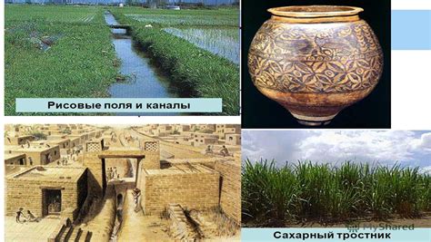 Презентация Государство Древней Индии. Автор Антонова Галина Сергеевна