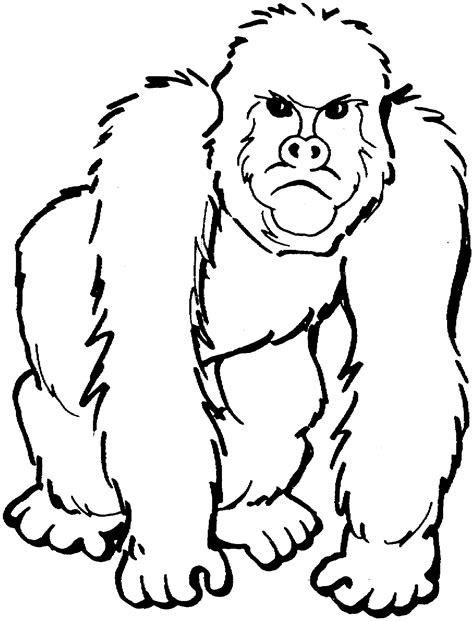 Silverback Gorilla Coloring Pages at GetColorings.com | Free printable ...