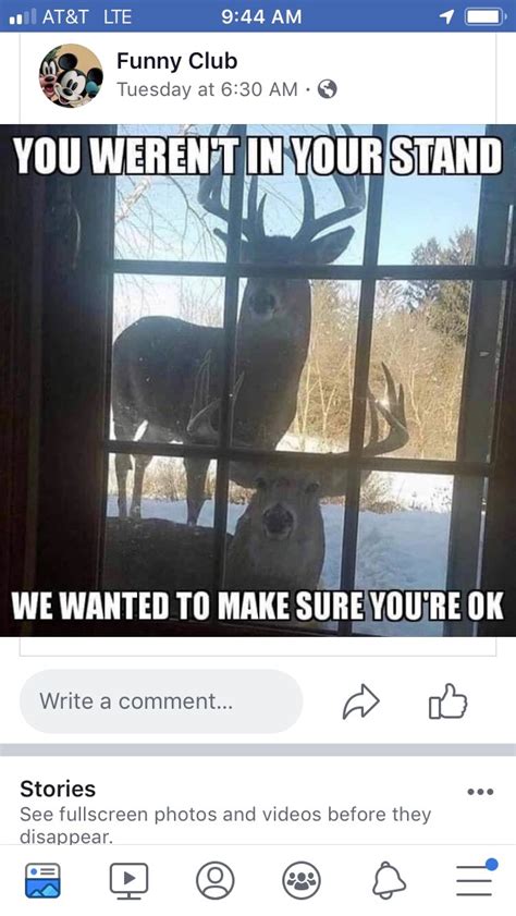 funny deer stand pic deer hunting arcom