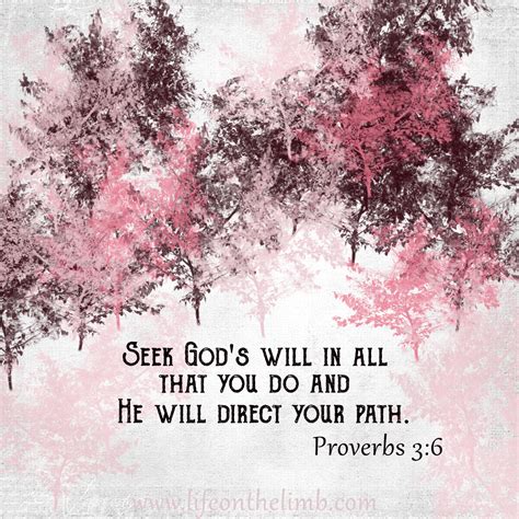 God Will Direct Your Path Quotes Shortquotescc