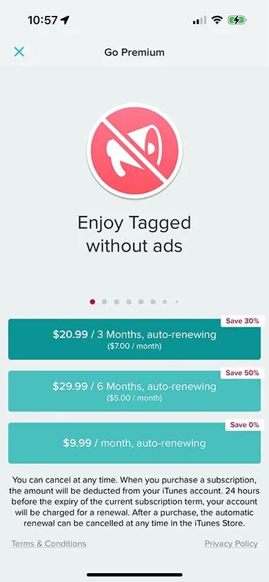 Tagged App Review 2025 Is It A Legit Dating Platform