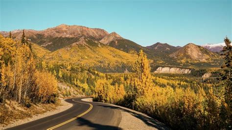 Autumn in Alaska: Where Wildlife, Culture & Wilderness Await