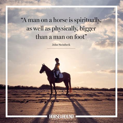 The Best Horse Quotes Of All Time In Pictures From Horse And Hound