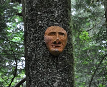 Spirit Trail - Harrison Hot Springs Hiking