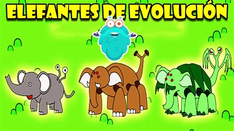 La Evolución De Elefantes Mamuts Y Mastodontes Educativos Para