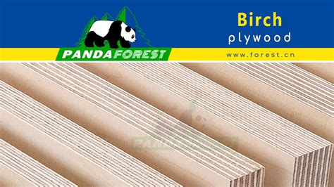 Birch Plywood Brings Innovation To Building Materials China Forest