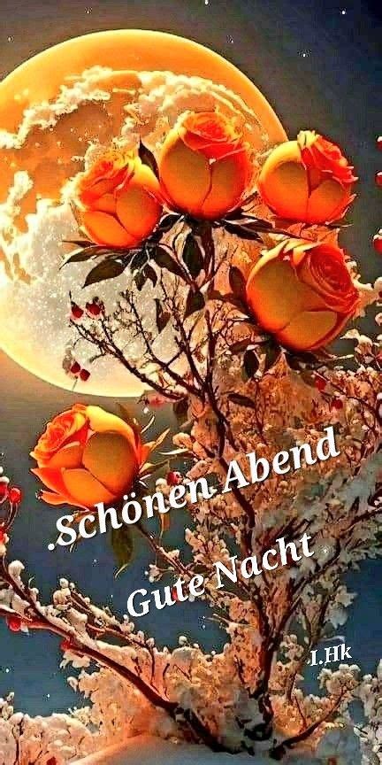 Pin on schönen Abend Good night Night Greetings