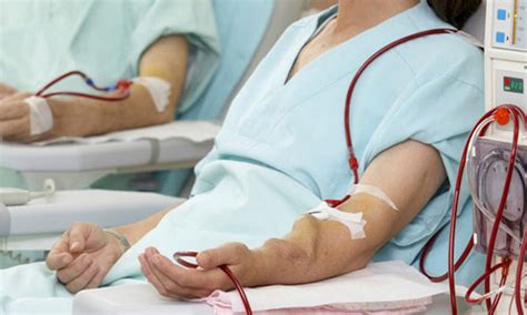 Диализ почек: виды, показания к применению, техника проведения