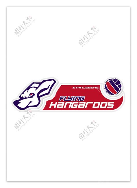 Flyingkangaroosvolleyball1logo设计欣赏flyingkangaroosvolleyball1体育赛事标志下载标志