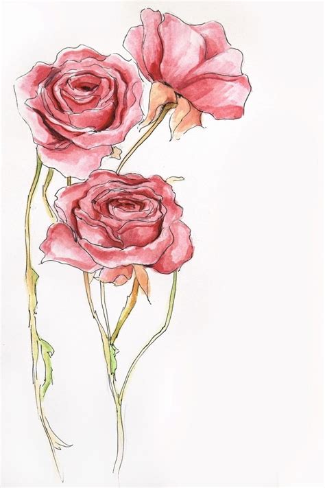 Mod Les Et Conseils Pour Apprendre Comment Dessiner Une Rose