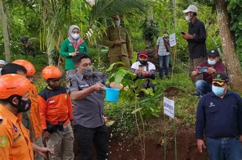 Keren 5 000 Bibit Pohon Ditanam Di Lereng Gunung Andong Jateng