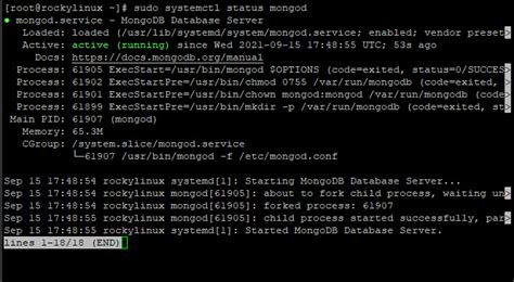 Cómo instalar y utilizar MongoDB en Rocky Linux 8 HowtoForge