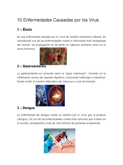 10 Enfermedades Causadas Por Los Virus Pdf