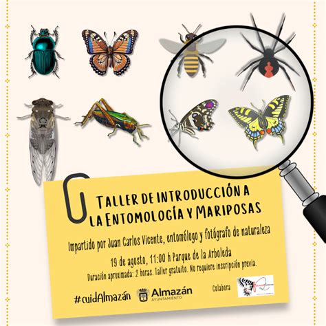 Taller de introducción a la Entomología y mariposas Ayuntamiento de