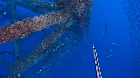 My Deepest Freedives While Spearfishing Offshore Oil Rigs Walkthrough