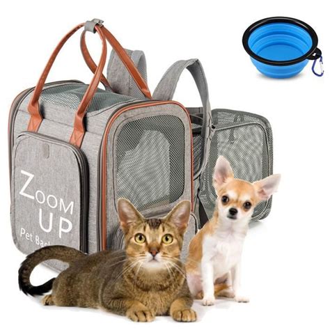 Sac Dos Transport Chat Chiots Extensible Pour Chats Et Petits Chiens