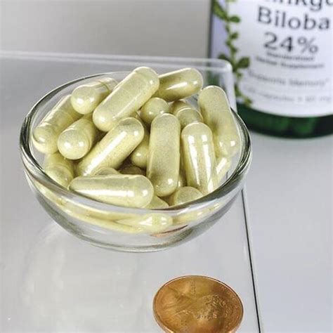 Swanson Ginkgo Biloba Extract 60 Mg 120 Capsules