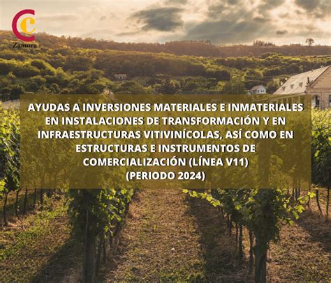 Ayudas A Inversiones Materiales E Inmateriales En Instalaciones De