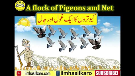 The Pigeons And The Hunter Moral Story A Flock Of Pigeons And Net