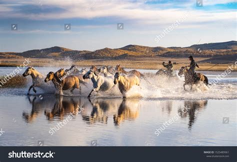 63 Horses running across river Images, Stock Photos & Vectors ...