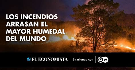 Los Incendios Arrasan El Mayor Humedal Del Mundo