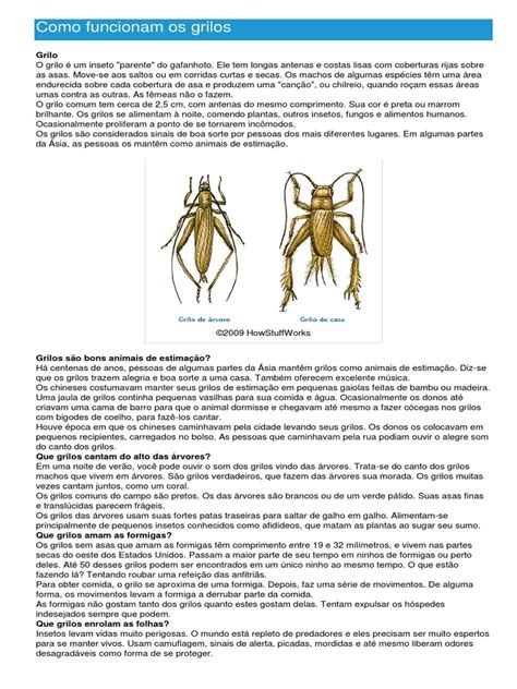 O Que Comem Os Grilos - Grilos - Ficha do Inseto - Como funcionam os grilos | Insetos | Formiga