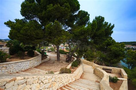 Mediterranean Pines In A City Park In Moraira Overlooking Playa El