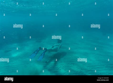 Sous Marine Bikini Girl Plongeur Tuba Banque De Photographies Et Dimages Haute R Solution Alamy