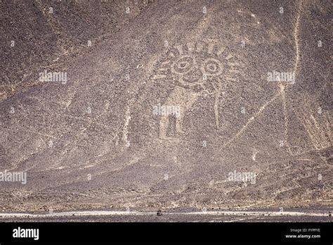 Palpa Lines And Geoglyphs Peru Stock Photo Alamy