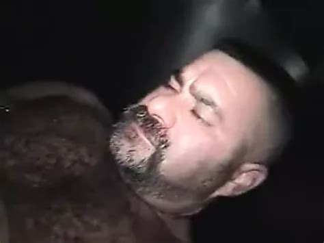 Free Bear Breeding Gay Porn Videos XHamster