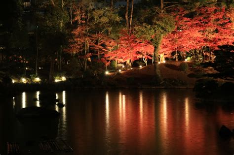 縮景園 紅葉ライトアップ